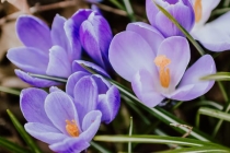 公墓回来噩梦连连,可能是招惹一些东西所导致的