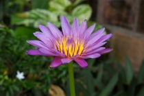 男子摸过出土文物后久病不愈，这是沾染上了阴