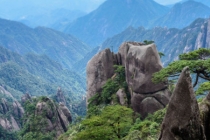 灵位与牌位有什么不同 供奉起来要注意什么