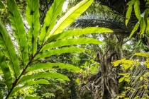 有什么辟邪的方法,外出旅游必备的住酒店辟邪指南