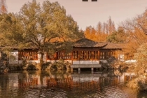 办公室摆放发财树风水位置,发财树在风水阵中的摆放注意事项