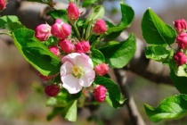 噩梦连连是身体出现问题了吗,现在来看经常做噩梦怎么化解了