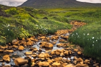 堕胎后孩子会跟着谁 男女方都会被报复