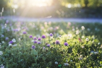 鬼投胎的孩子特征，容易导致家庭破败