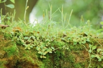 一个家旺不旺看厨房,教你稳住基本厨房风水