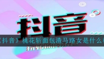 抖音桃花斩面包渣马路女是什么梗