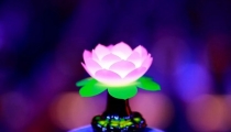把去世多年的人挂牌超度,能否有效果