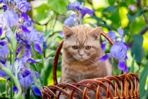 职场遇到小人怎么对付 一招帮你搞定