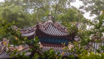 婴灵超度后母亲反应超度多久见效