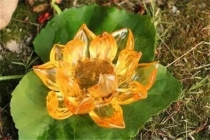 正确的给堕胎的婴灵超度