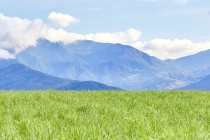 噩梦连连怎么都醒不过来怎么回事,来看做噩梦是如何化解了