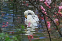 宝宝带什么可以辟邪,宝宝辟邪可以用这些东西来进行