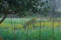 白天老是爱做噩梦怎么回事,可能是有人来向你讨债了