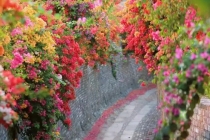 噩梦连连是怎么化解,来看每天做噩梦是怎么回事