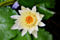 什么是现世报，做坏事的人一定会有现世报