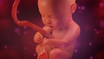 超度婴灵念什么?灵婴超度经文