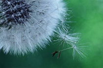 道教开光符咒让宝物更加有效