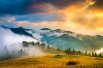 没有良药久病不愈该怎么办,那必须是要驱邪