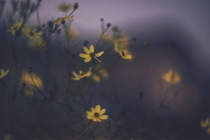 久病不愈体虚怎么办可以用食补来医治