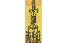 平安护身符险，分析能保平安健康的原因