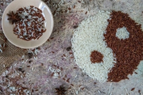 择吉日科学根据道家法术知多少