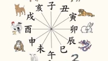 地支六冲