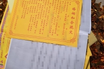 情降与和合术哪个效果好啊，柬埔寨感情和合术灵验吗？