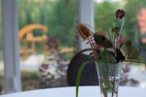 调理久病不愈的食物，久病不愈的人不要吃水果