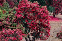 做不到这些事业必定受阻,四大影响事业发展的因素,你占了几个