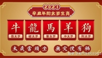 从郑爽风波看地支冲刑破害犯太岁