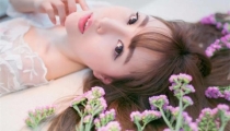 催桃花运养什么鱼 其中原来大有讲究