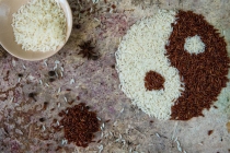 不同的超度方式，优缺点各不相同