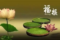 会有婴灵吗 ， 观世音菩的超度文书