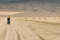 事业受阻家宅哪里出错 主要在这5点