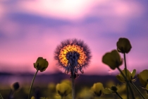 目前大人小孩最快最有效的收惊方法