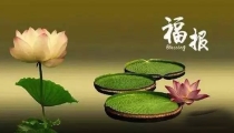 怎样知道有婴灵缠身 , 怎么能知道婴灵送走没
