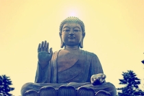 凡事有因果，万物都逃不过因果