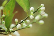 长方形办公室风水位置,想要升职加薪风水一定要好才能达成所愿