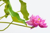 现代因果报应真人真事，多行不义必自毙