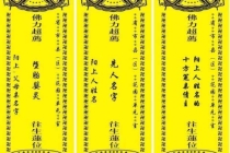 堕胎的报应这么严重，大师教你超度的方法