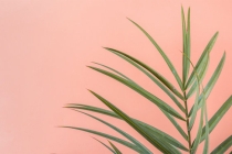 久病不愈水果元凶，这真的不是伪科学