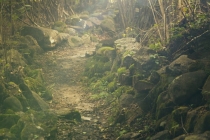 出生日期看两人是否配,这些方法你可以学一学