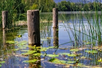 老是噩梦连连是怎么回事,可能是因为我们身体上面的原因所导致