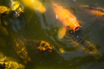 人的财运为什么差 这两个方面的原因是关键