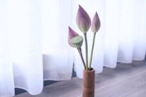 事业受阻不顺利怎么转运,三招帮你开运化解厄运