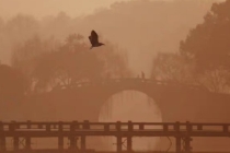 高层开窗睡觉做噩梦,几招帮你远离噩梦