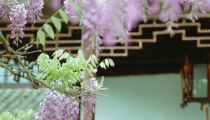 什么样的面相事业易受阻,原来看这里,就可以轻易识别