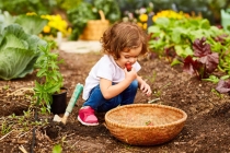 小孩受到惊吓了咨询处理之法，哭闹不止要这样