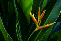 堕胎超度婴灵念什么经好婴灵怨念大