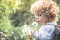 道家堕胎婴灵做超度后第二天的感应